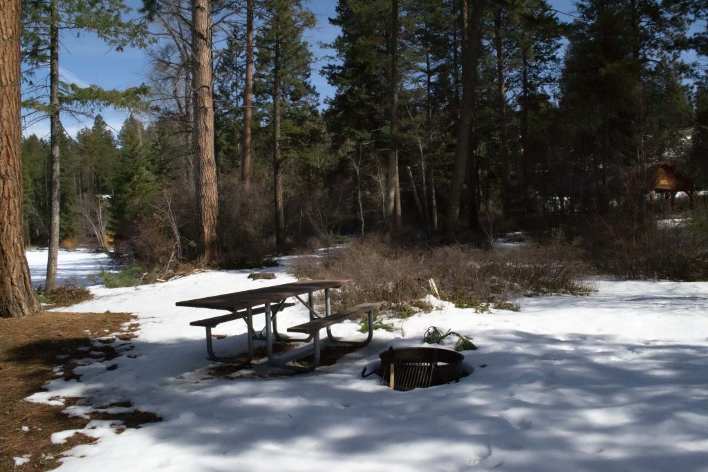 Photo of one picnic table and a fire pit in the snow at Wayfarer's Park. There are lots of deep green trees in the background with brown tree trunks on the left of the photo.