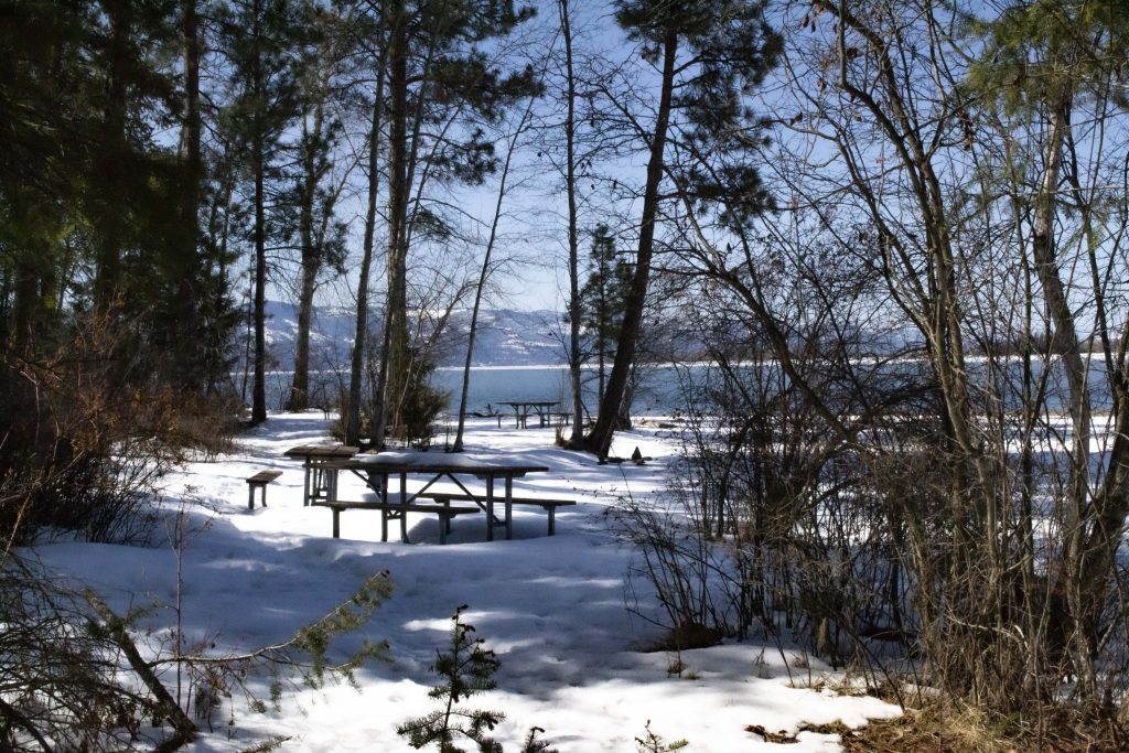 Photo of several picnic tables at Wayfarer's Park in the snow. There are lots of shadows and trees nearby.