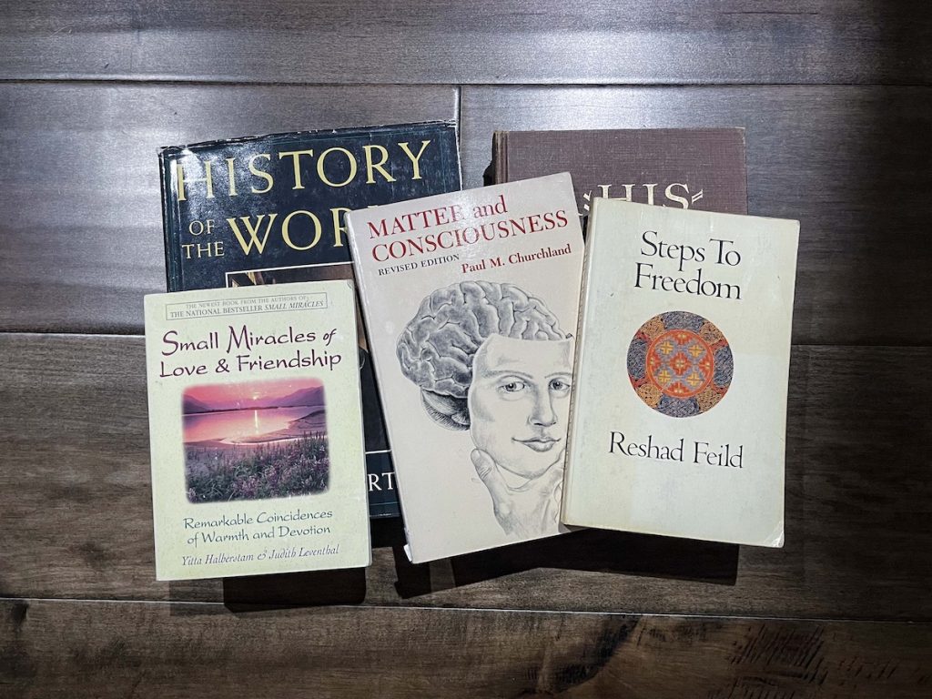 All the books I received from the Blacktail Mountain Books bookstore, there are two world history books, "Small Miracles of Love and Friendship", "Matter and Consciousness", and "Steps to Freedom" books placed on the floor.