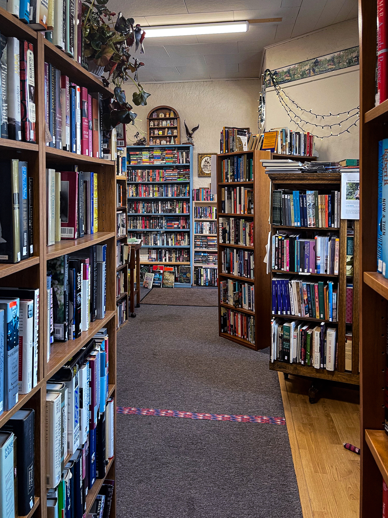 Bad Rock Books: A Homey Hideaway with Cats and Great Books