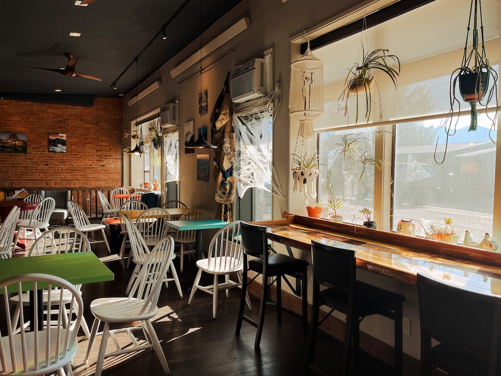 image of window seats at the coffee shop with a few hanging plants in the front of the window